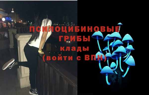 кокаин колумбия Богданович