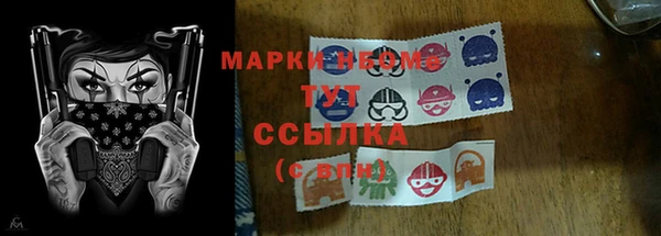 прущие грибы Беломорск