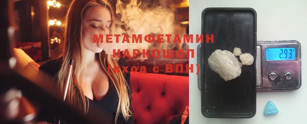прущие грибы Беломорск