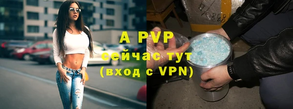 прущие грибы Беломорск
