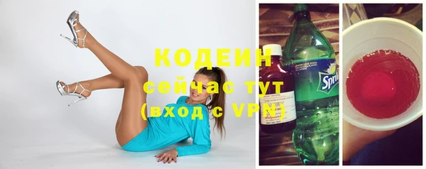 прущие грибы Беломорск