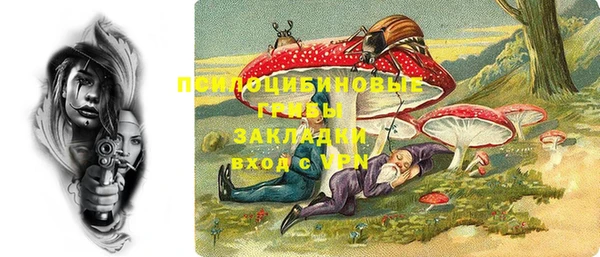 тгк Белокуриха