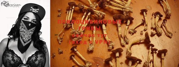 тгк Белокуриха