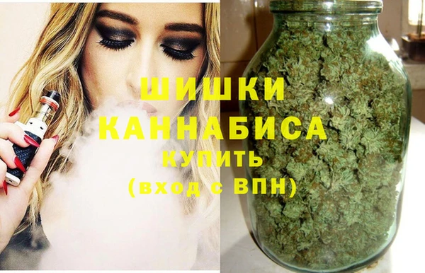 прущие грибы Беломорск
