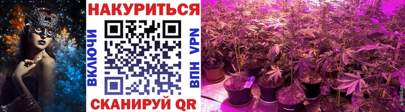 Бошки Шишки MAZAR Воркута